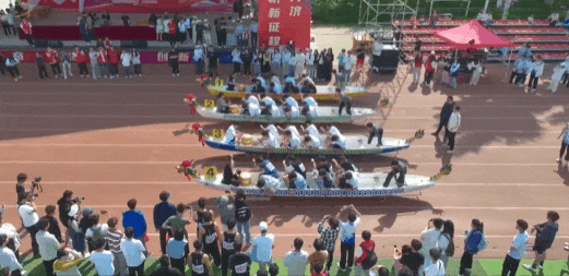 17486605553949580.gif